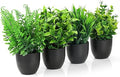 4 stycken plastväxter dekoration ★★★★★